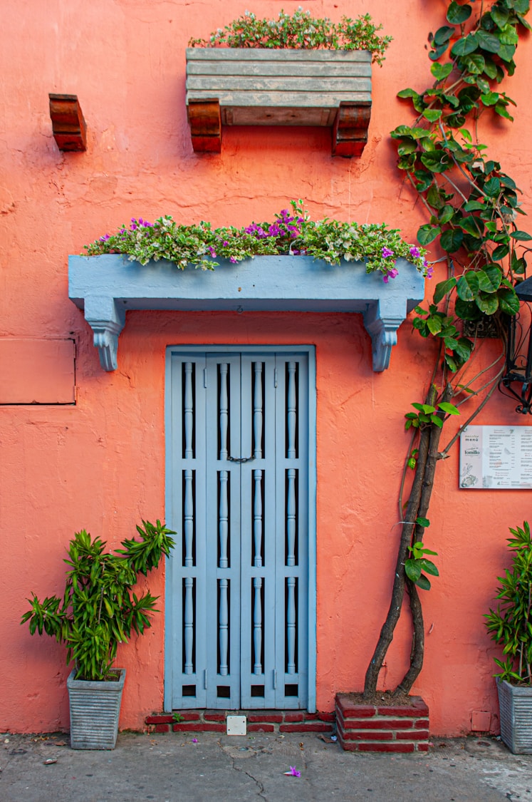 Simulador de color Sayer